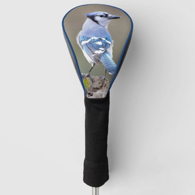 Cute Blue Jay Songbird on Treestump Golf Head Cover (Front)
