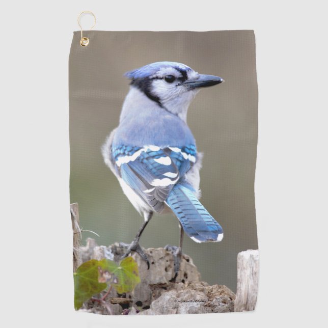Cute Blue Jay Songbird on Treestump Golf Towel (Front)