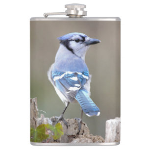 Cute Blue Jay Songbird on Treestump Hip Flask