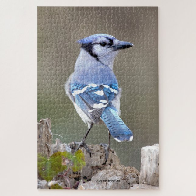 Cute Blue Jay Songbird on Treestump Jigsaw Puzzle (Vertical)