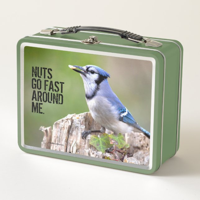 Cute Blue Jay Songbird on Treestump Metal Lunch Box (Front)