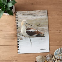 Cute Blue Jay Songbird on Treestump Notebook
