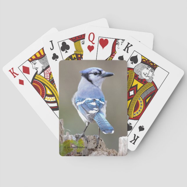 Cute Blue Jay Songbird on Treestump Playing Cards (Back)