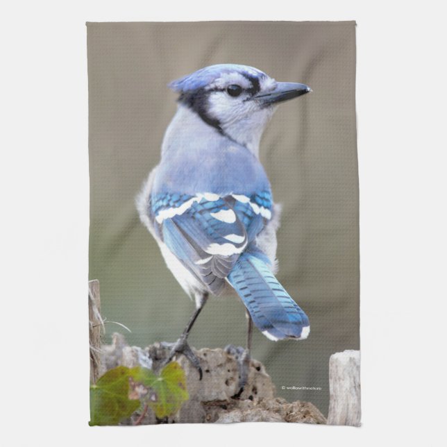 Cute Blue Jay Songbird on Treestump Tea Towel (Vertical)