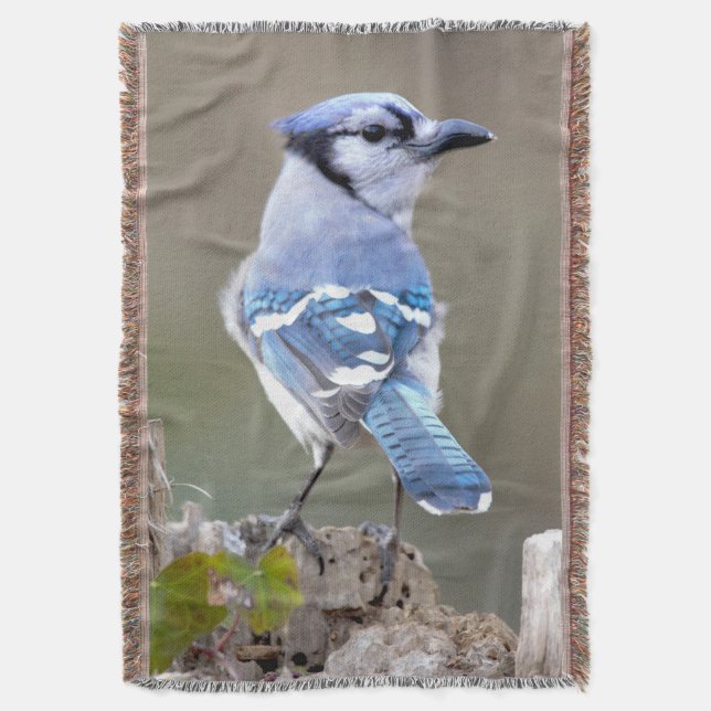 Cute Blue Jay Songbird on Treestump Throw Blanket (Front Vertical)