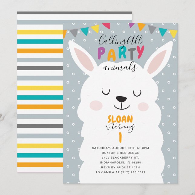 Cute Blue Lama Fun Fiesta Birthday Party Invitation (Front/Back)