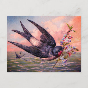 Cute Blue Orange Swallow Bird And Pretty Flowers Postcard