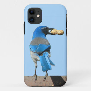 Cute Blue Scrub Jay Bird & Peanut iPhone 11 Case
