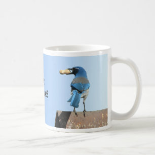 Cute Blue Scrub Jay Bird & Peanut Coffee Mug
