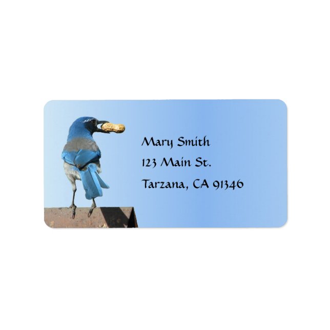 Cute Blue Scrub Jay Bird with Peanut Label (Front)