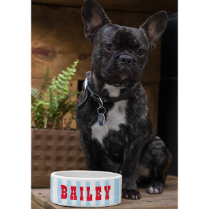 Cute Blue White Stripes Dog Puppy Cat Name Food Bowl