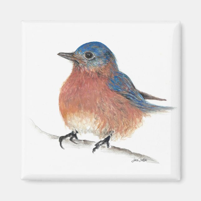 Cute Bluebird Painted Art Magnet (Front)