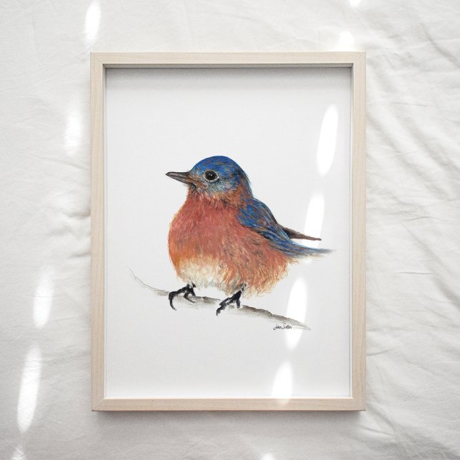 Cute Bluebird Watercolor Art Print (Creator Uploaded)