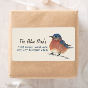 Cute Bluebird Watercolor Pencil Art