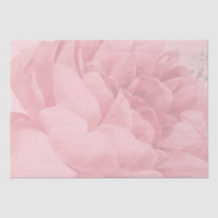 Cute Blush Pink Floral Pretty Rose Tissue Paper