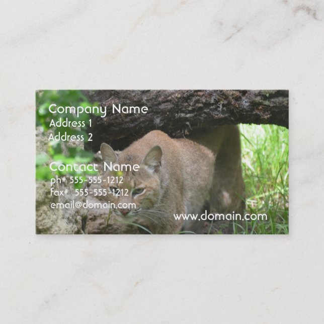 Cute Bobcat Business Card (Front)