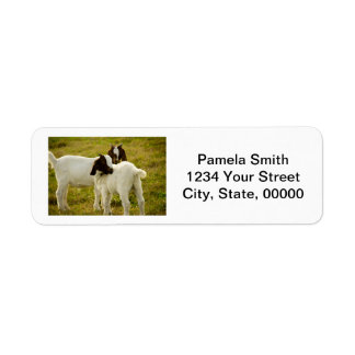 Cute Boer Goats Personalise Return Address