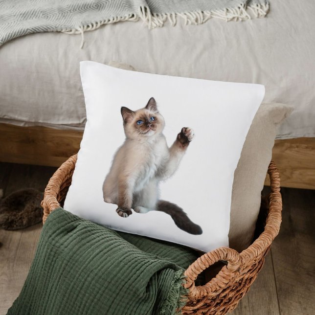 Cute Bold Siamese Cat Custom Decor Gift White  Cushion (Creator Uploaded)