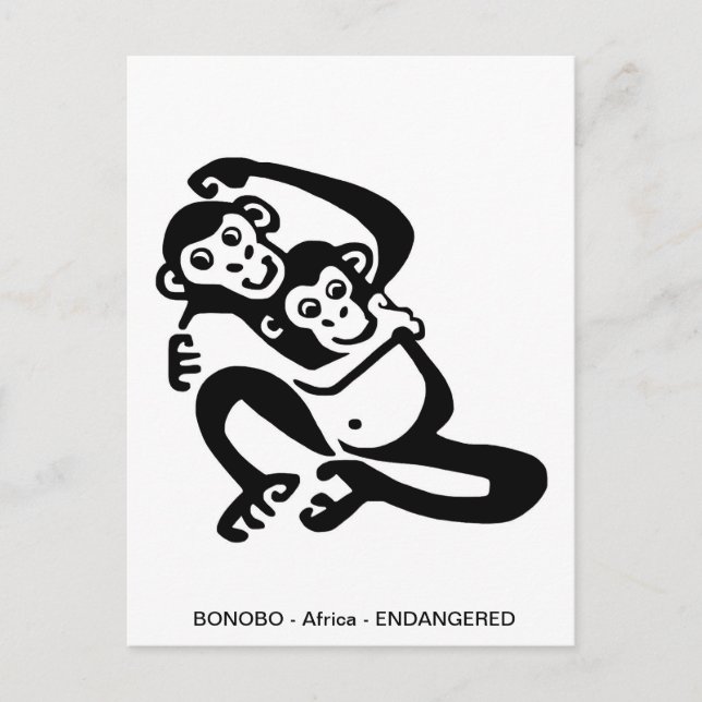 Cute BONOBO- Chimpanzee - Primate - Ape -  Postcard (Front)