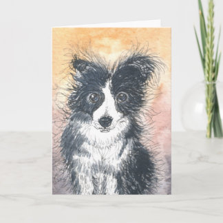 Cute Border Collie Card, For Collie Enthusiasts! Card