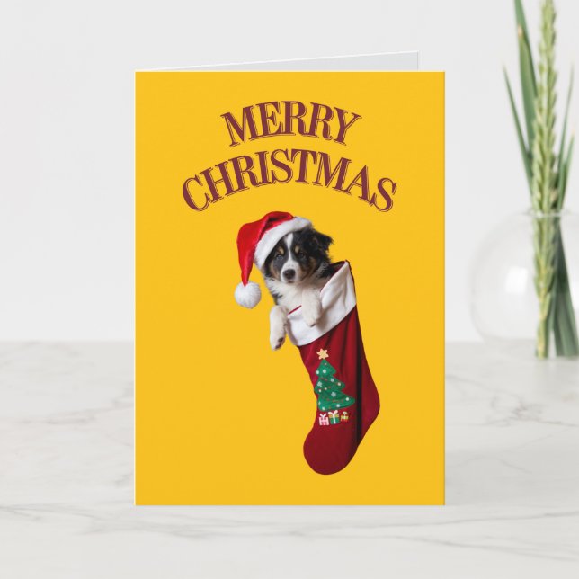Cute Border Collie Christmas  Card (Front)