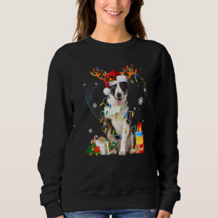 Cute Border Collie Dog Lights Santa Hat Sweater Ch