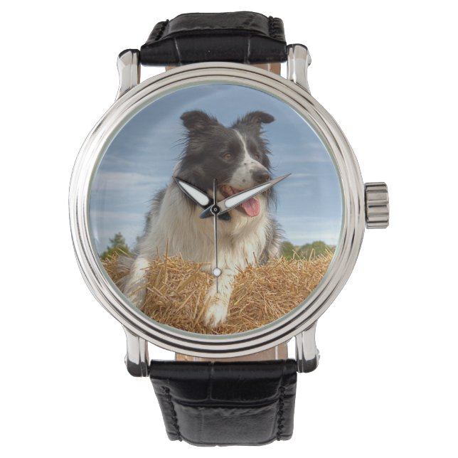 Cute Border Collie Dog Watch (Front)
