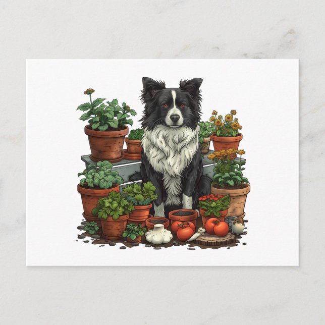 Cute Border Collie Gardening Postcard (Front)