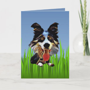 Cute Border Collie Greeting Card