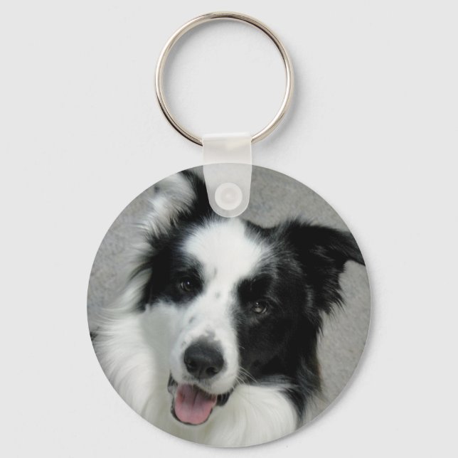 Cute Border Collie Photo Portrait Key Ring (Front)