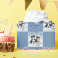 Cute Border Collie Puppies In Snow Puppy Christmas