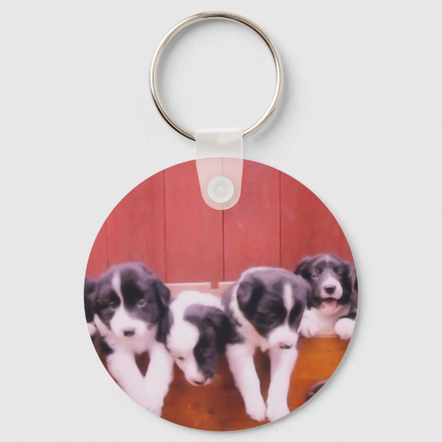 Cute Border Collie Puppies Keychain (Front)