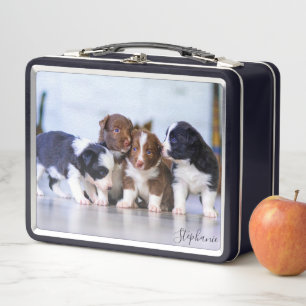 Cute Border Collie Puppies Metal Lunch Box
