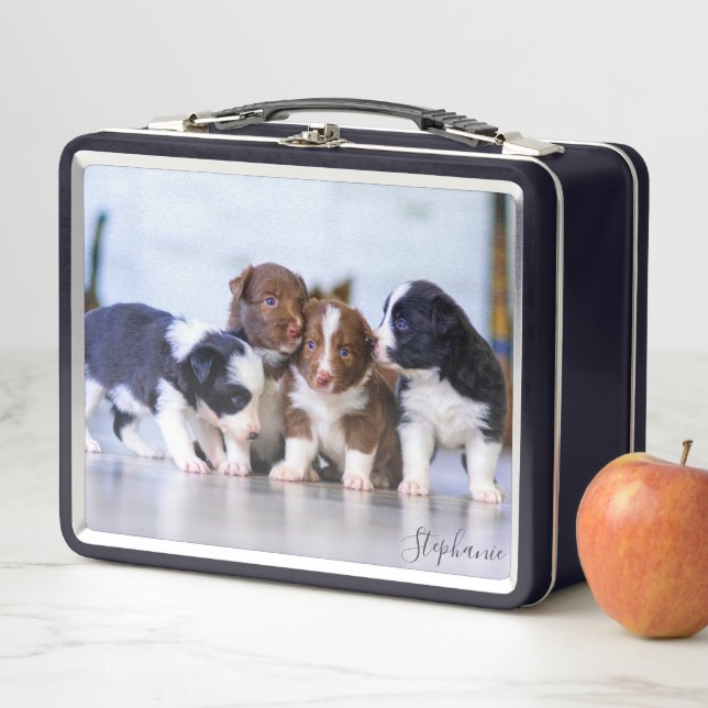 Cute Border Collie Puppies Metal Lunch Box (In Situ)