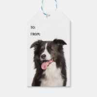 Cute Border Collie Puppy Dog Lover Black White