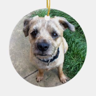 Cute border terrier ceramic tree decoration