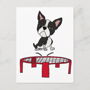 Cute Boston Terrie Dog on Trampoline Cartoon Postcard