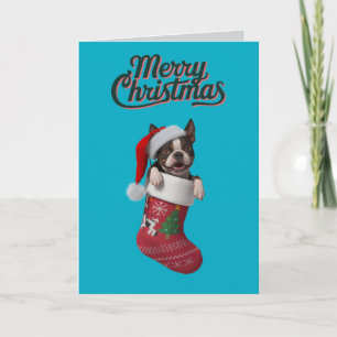Cute Boston Terrier Christmas Holiday Card