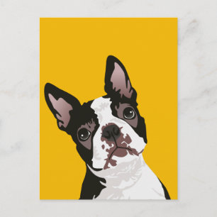 Cute Boston Terrier Dog for Boston Terrier Owner Postcard