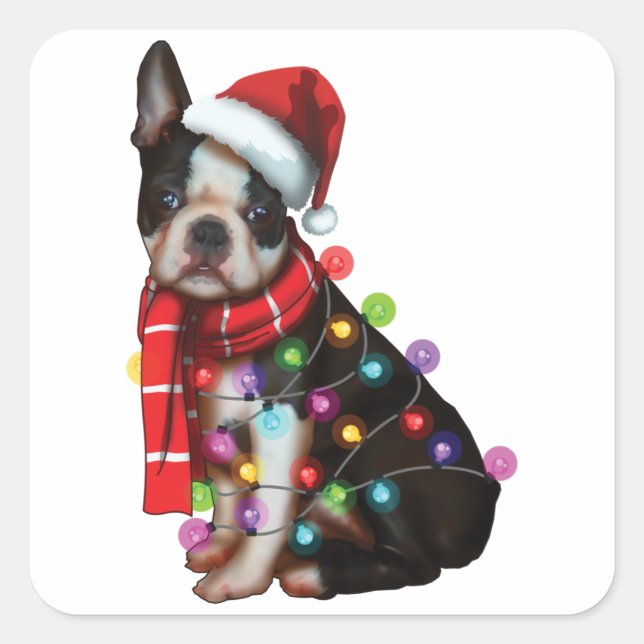 Cute Boston Terrier Dog Funny Xmas Holiday Gifts Square Sticker (Front)