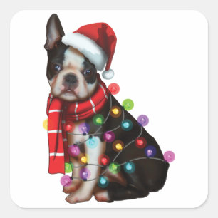 Cute Boston Terrier Dog Funny Xmas Holiday Gifts Square Sticker
