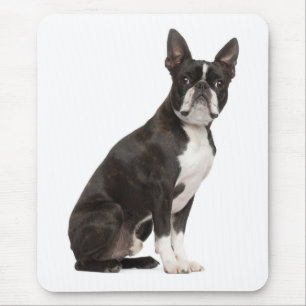 Cute Boston Terrier Gift Puppy Dog Lover Mouse Mat