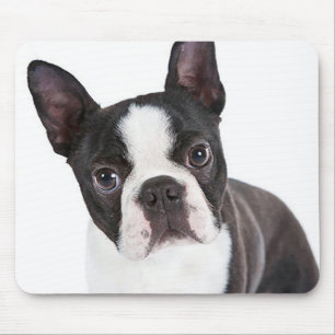 Cute Boston Terrier Mom Puppy Funny Dog Lover Mouse Mat