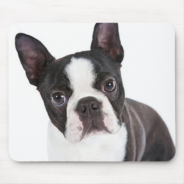 Cute Boston Terrier Mom Puppy Funny Dog Lover Mouse Mat (Front)