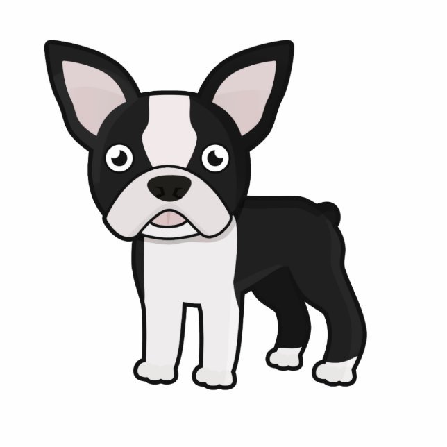 Cute Boston Terrier Photo Sculpture Decoration (Front)