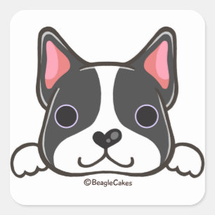 Cute Boston Terrier Sticker