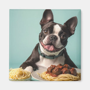 Cute Boston Terrier With Spaghetti Bolognaise  Magnet