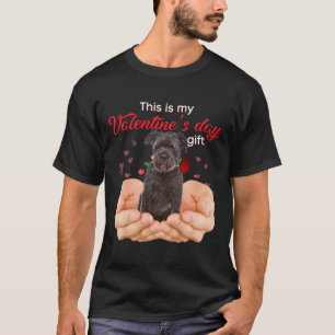 Cute Bouvier Des Flandres This Is My Valentines Da T-Shirt