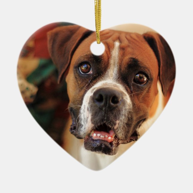 Cute Boxer Ceramic Tree Decoration (Front)