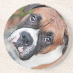 Cute boxer dog coaster